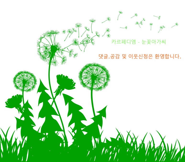 불난닭발 이미지