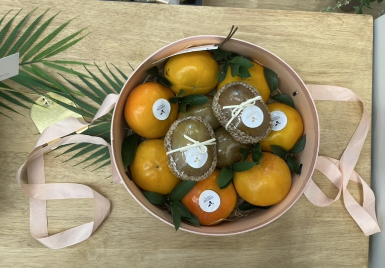 자인담 이미지