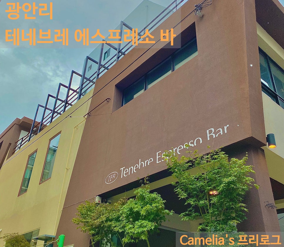 미야클레프 이미지