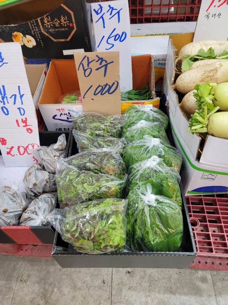 오빠청과 이미지