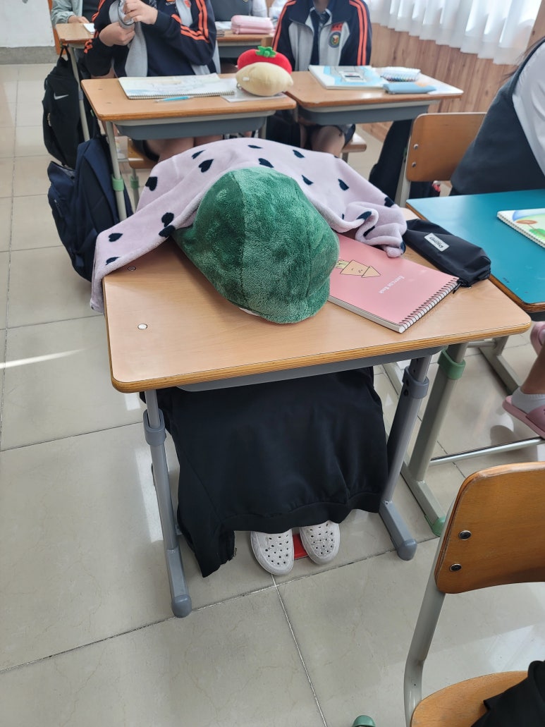 양*종 이미지