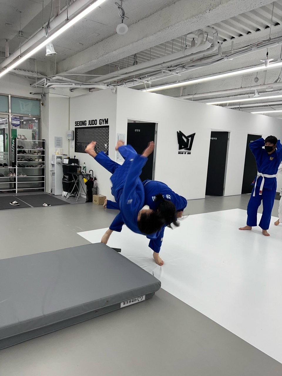 세종유도관 이미지