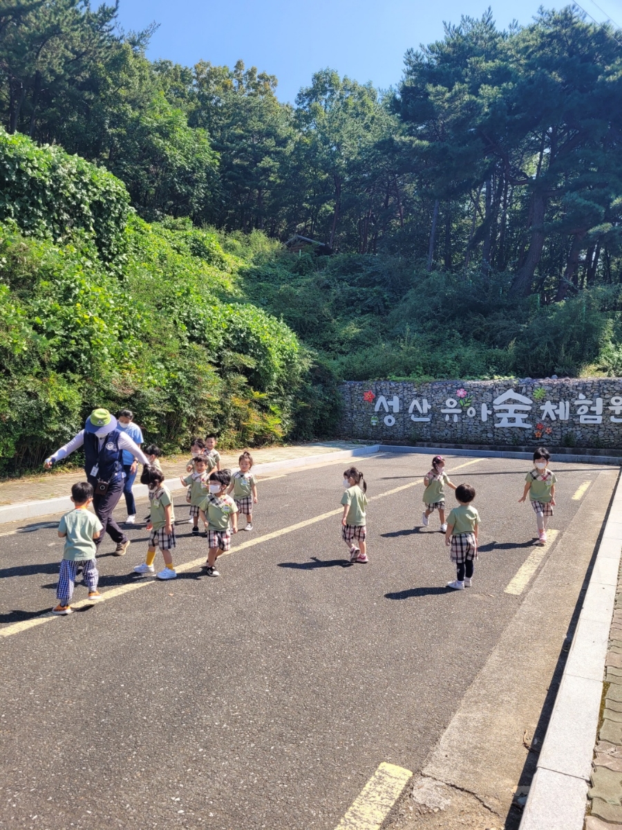 성산 유아숲체험원 이미지