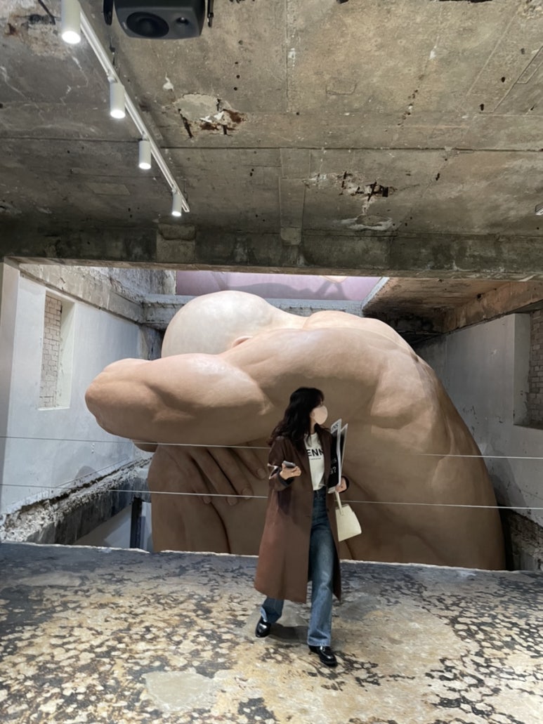 프레이트 이미지