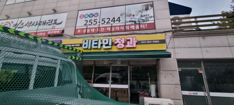 비타민청과 이미지