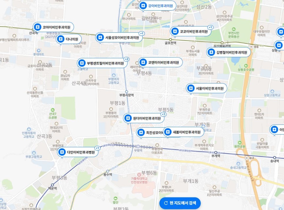성모사랑미의원 이미지
