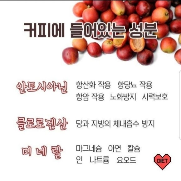 커피베리 이미지