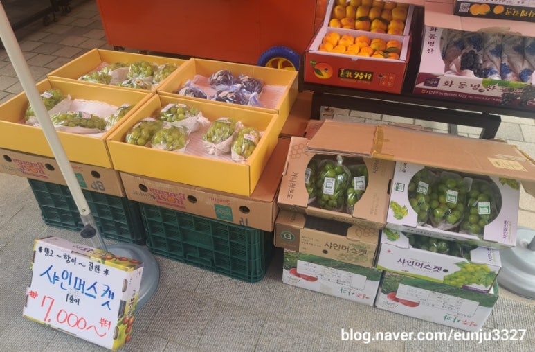 신선청과야채 이미지