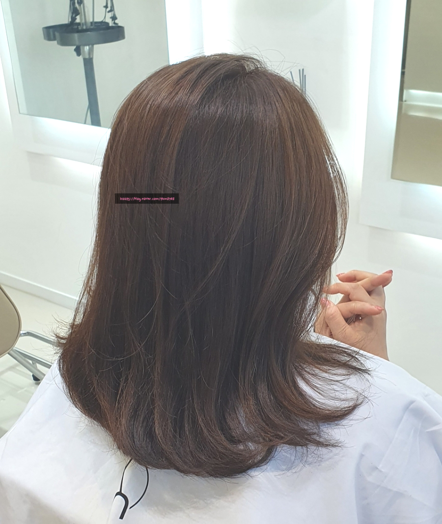 건니크 이미지