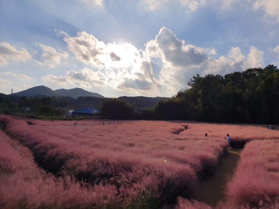 핑크핑크해 이미지