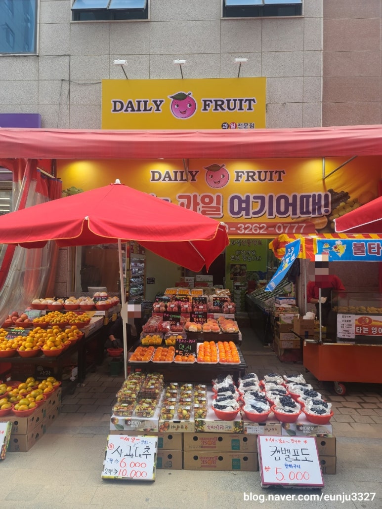 신선청과야채 이미지