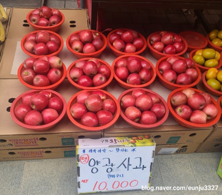 신선청과야채 이미지