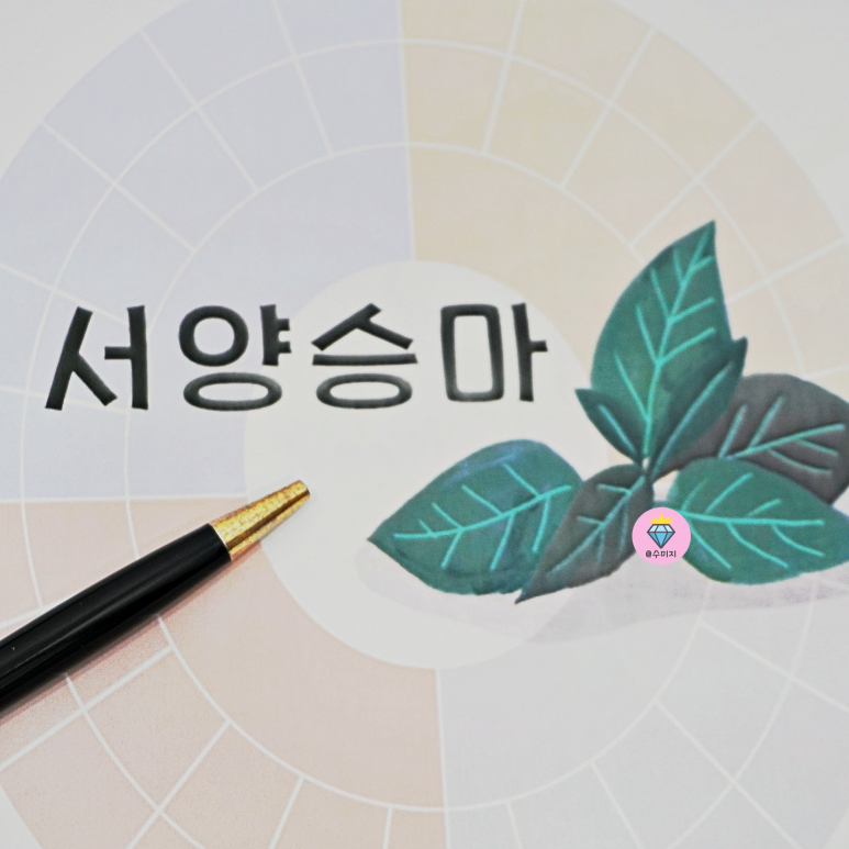 주식회사 서울제약 이미지