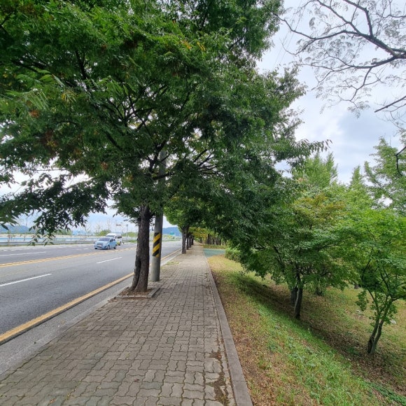 호림강변공원 이미지