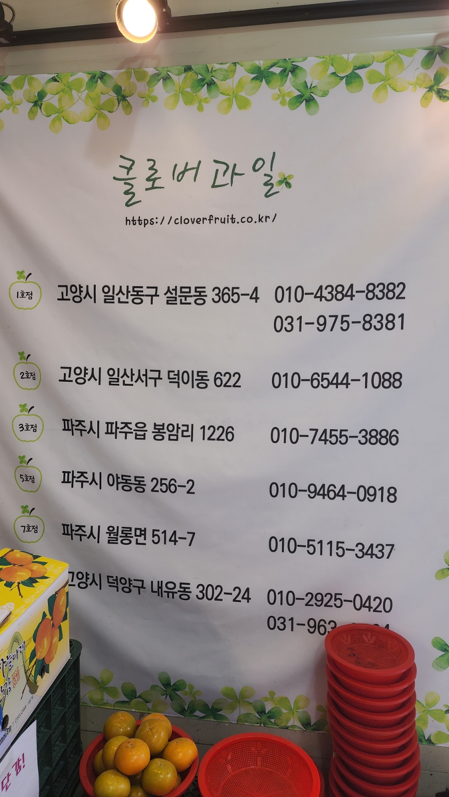 클로버과일 이미지