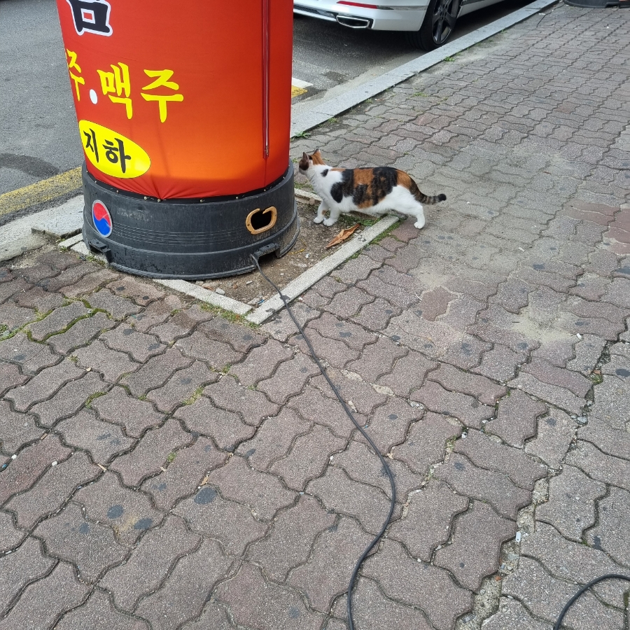 블랙큐PC방 이미지