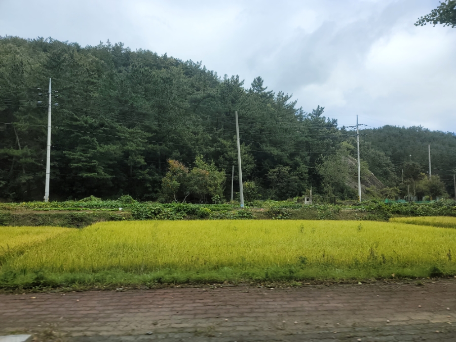 대명건기 이미지