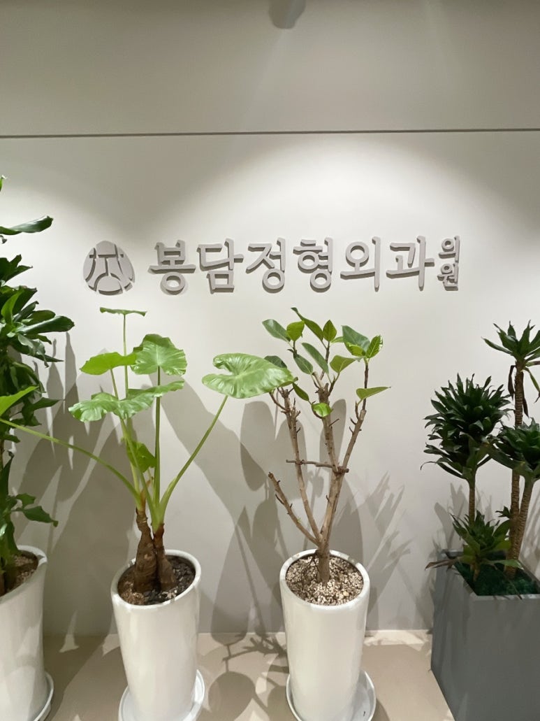토마토정형외과의원 이미지