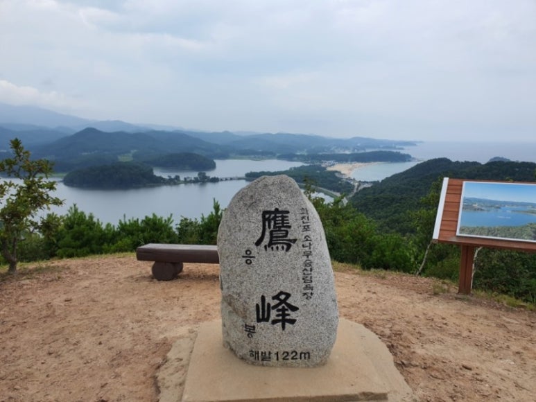 응봉 정상 이미지
