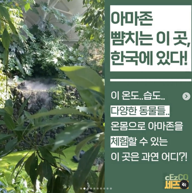 리더스코 이미지
