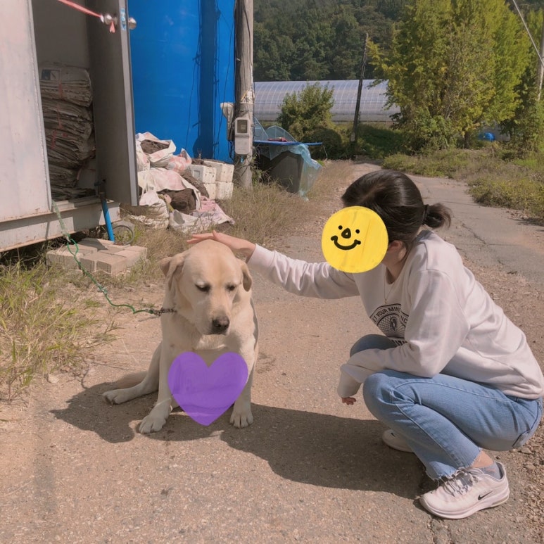 토리농장 이미지