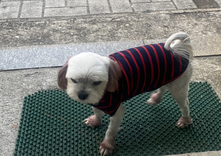 행운옷수선 이미지