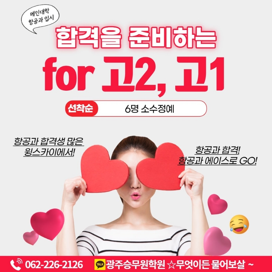 스카이윙 이미지