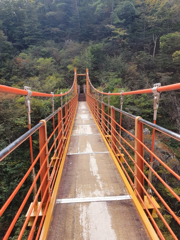 청림화분 이미지