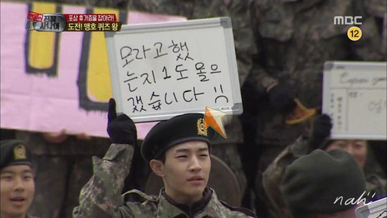 파시비니 이미지