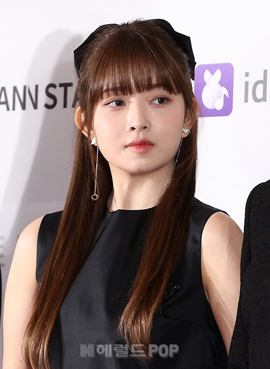 레이팩트 이미지
