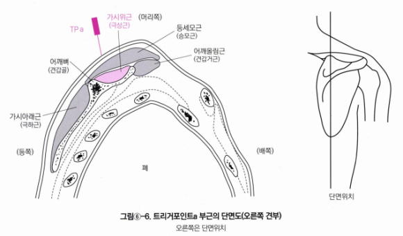 최수용한의원 이미지