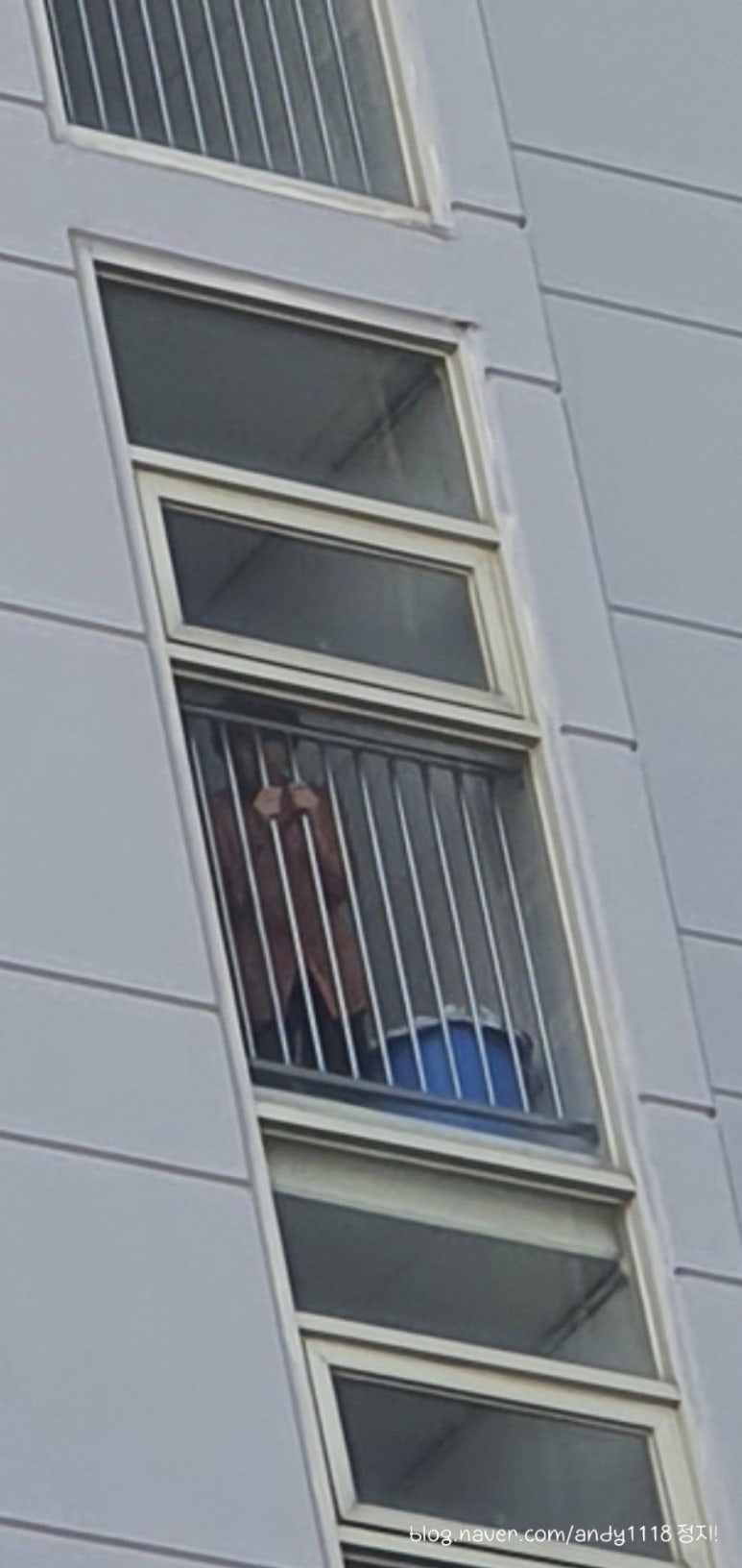 테라리움연구소 이미지