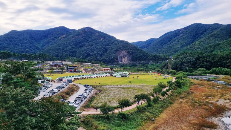 구절초 꽃축제 투어기차 이미지