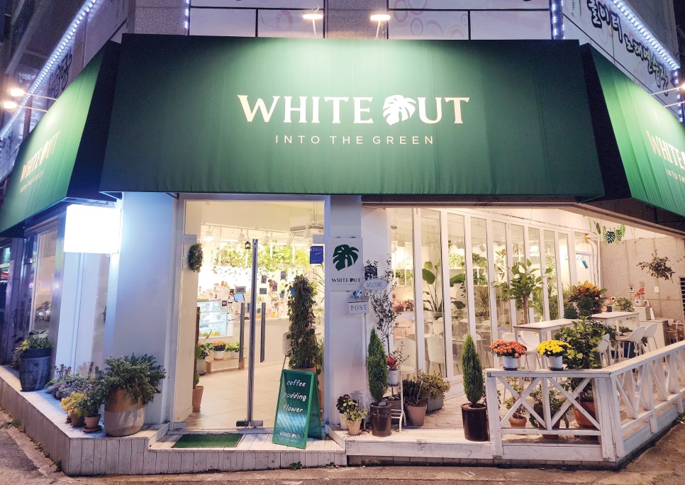 인투그린 이미지