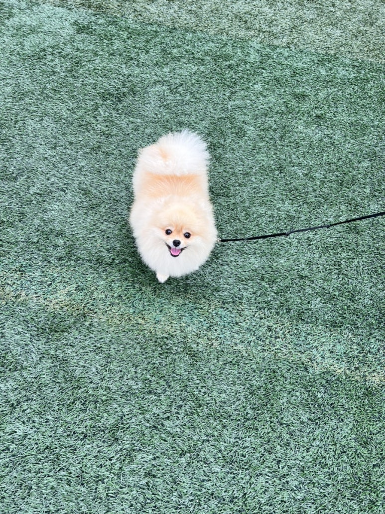 포지티브즈 이미지