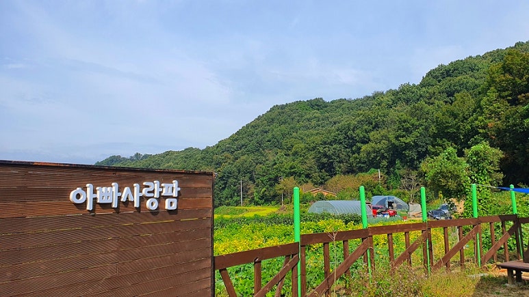 소사농장 이미지