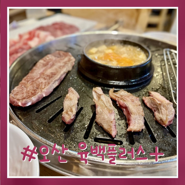 육백플러스 이미지