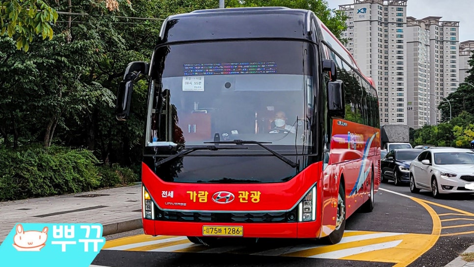 천일관광여행사 이미지