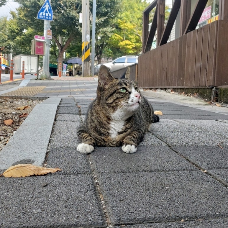 우정카센타 이미지