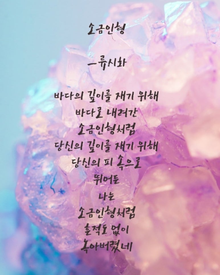 브랜드아카데미 이미지