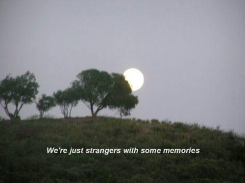 만월(Full Moon) 이미지