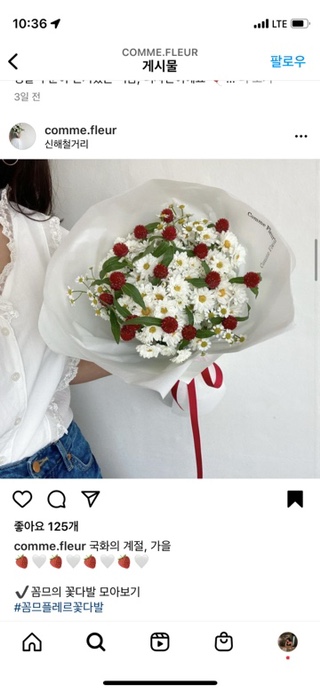 꼼므플레르 이미지