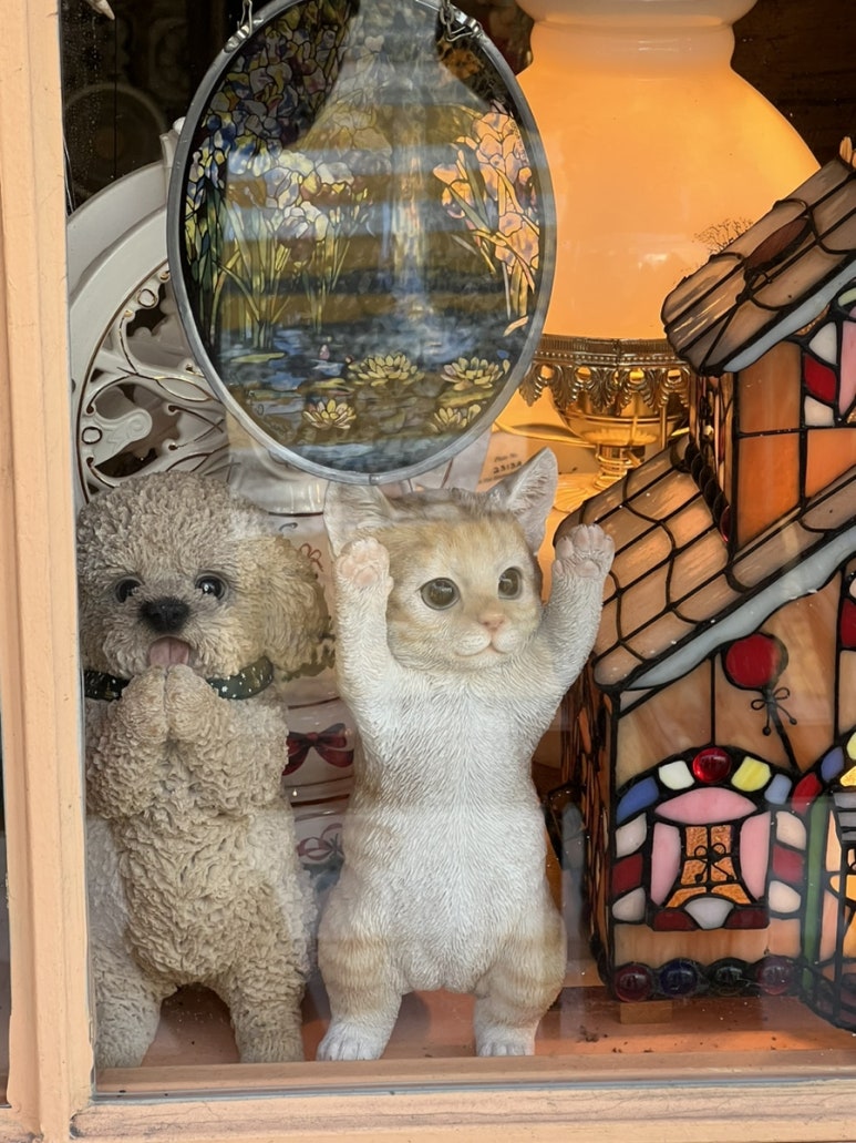 오복수산시장 이미지
