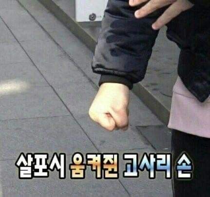 손난용 이미지