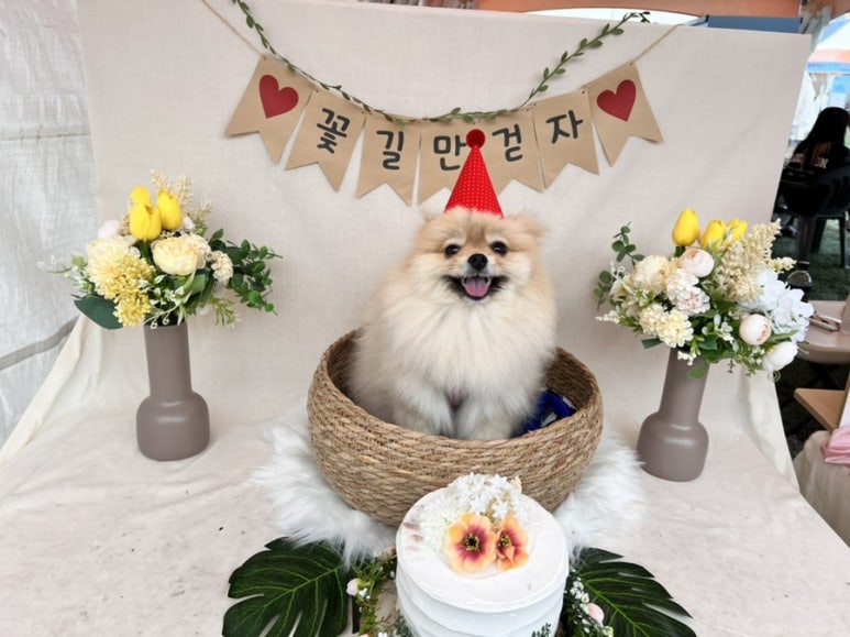 포지티브즈 이미지