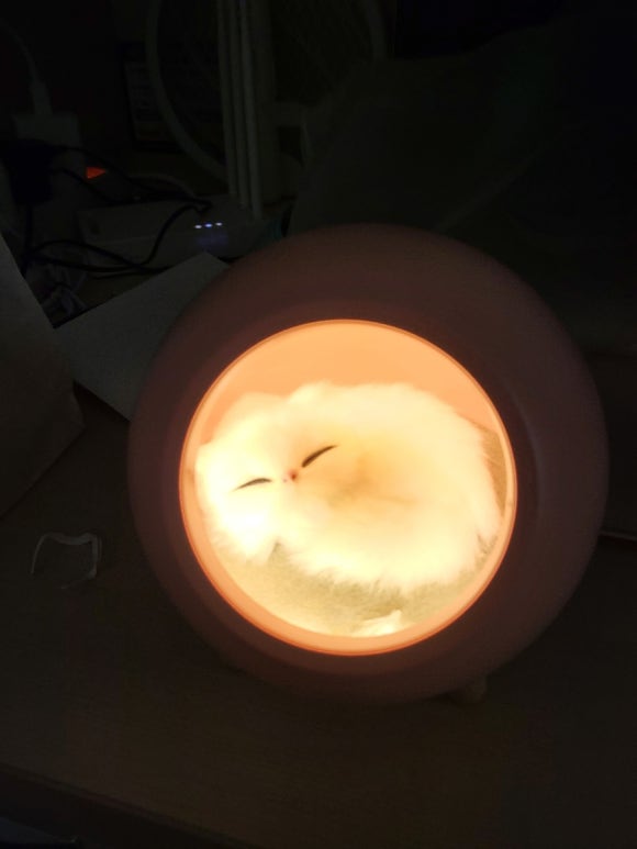 해도방 이미지