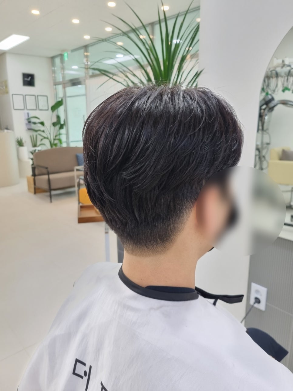 더포레헤어 이미지
