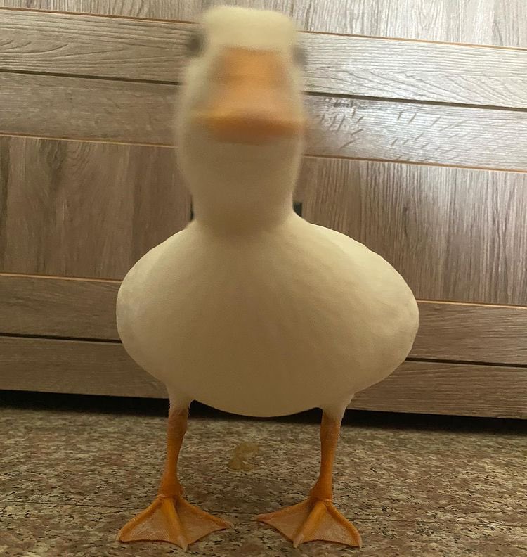 조은하루 이미지