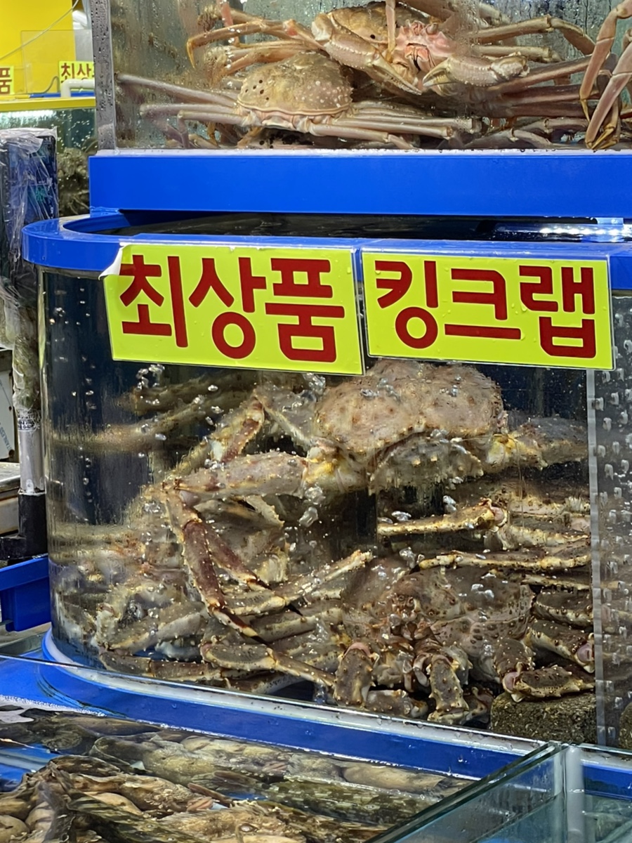 이화타이어 이미지