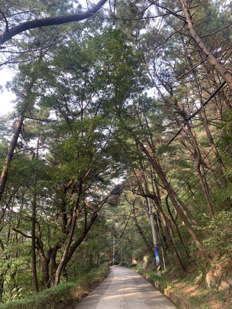 수원지슈퍼 이미지